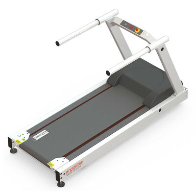 Ergosprint
